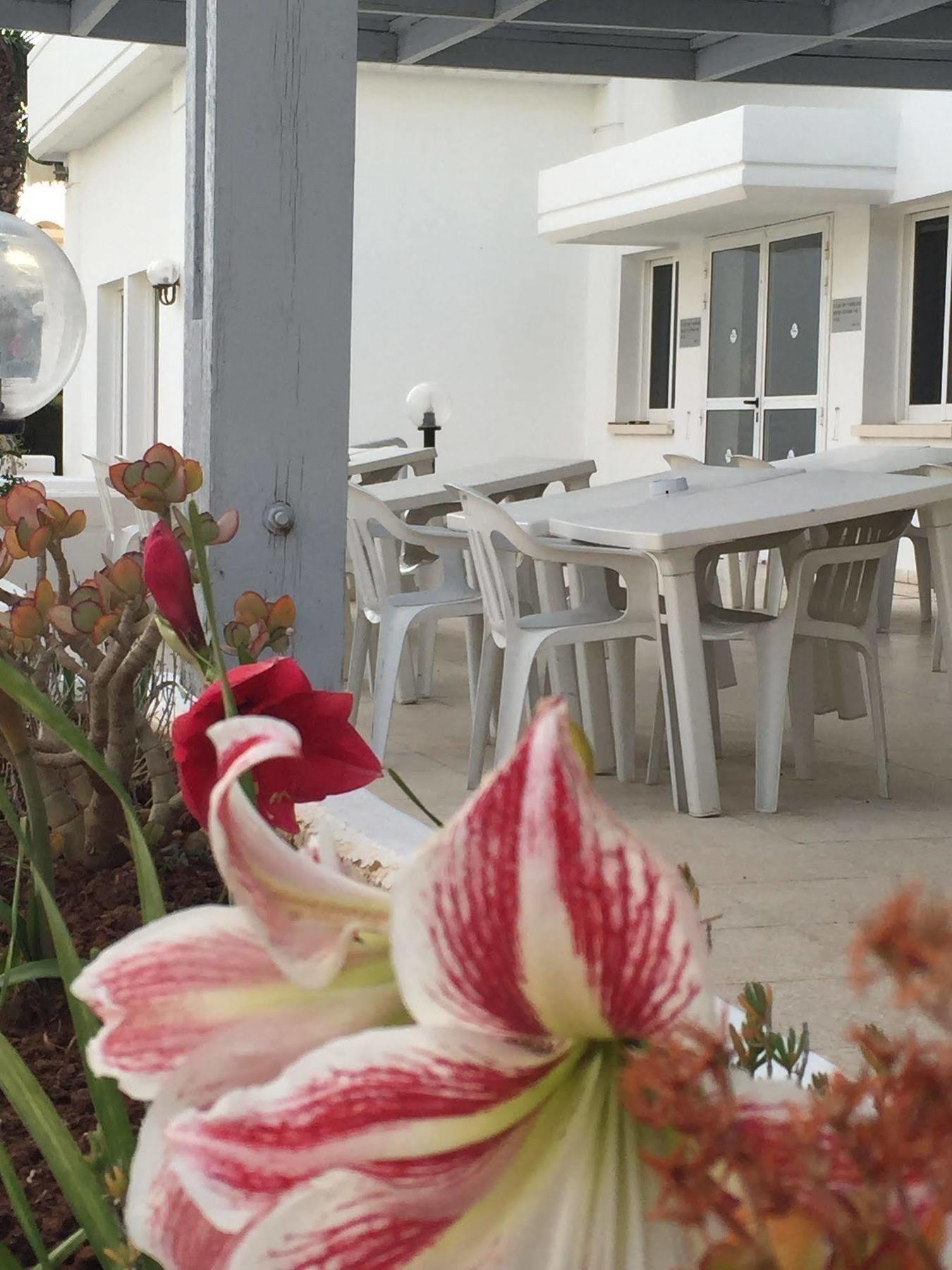 Blue Crane Hotel Apts Лімасол Екстер'єр фото